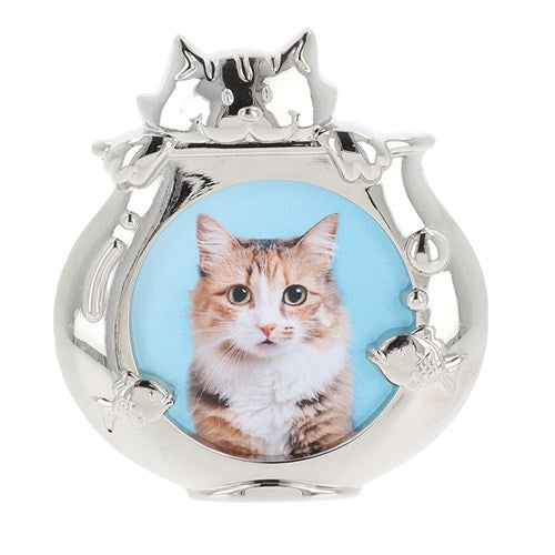 JD Cat in Goldfish Bowl Frame 3x3