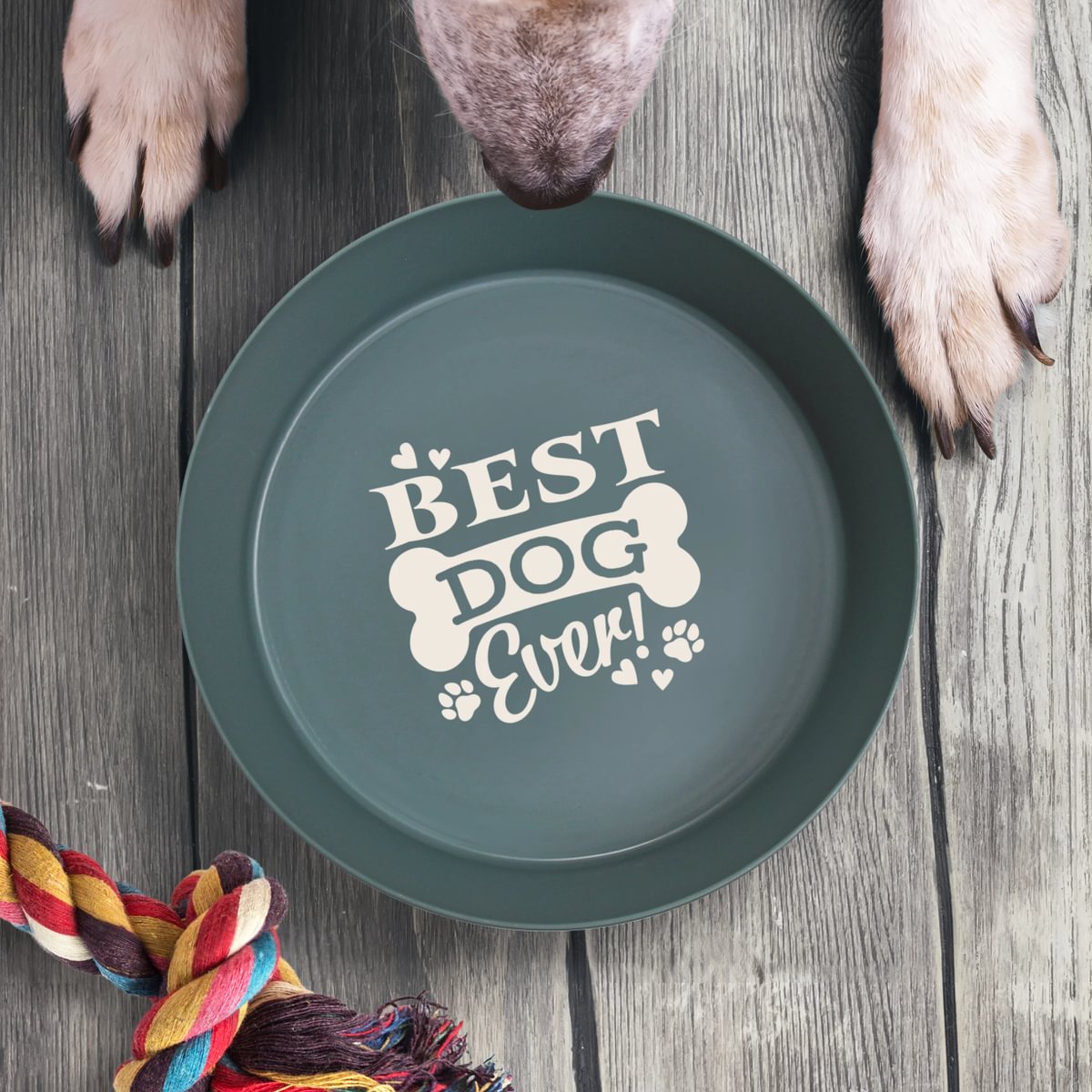 HH Dog Bowl - Best Dog Ever