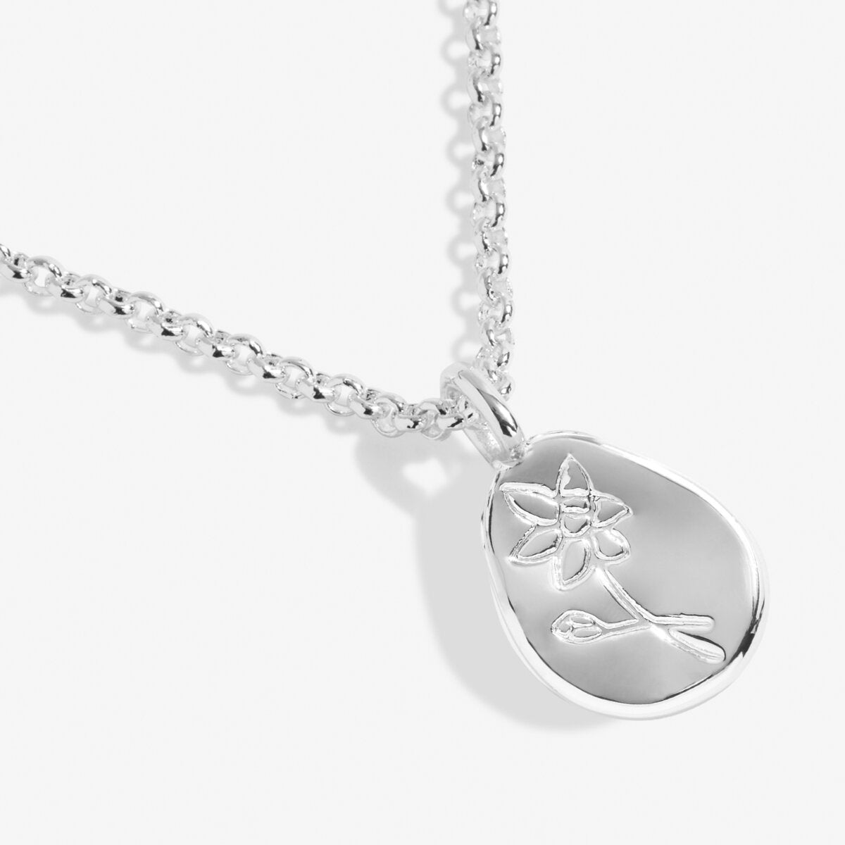 JJ December Narcissus Necklace