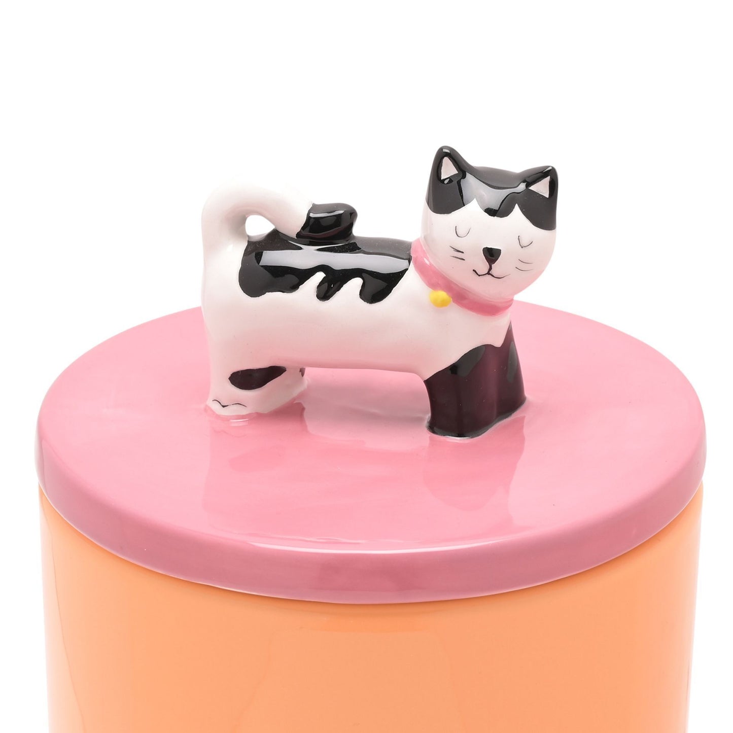 WDP Raspberry Blossom Ceramic Cat Treat Jar