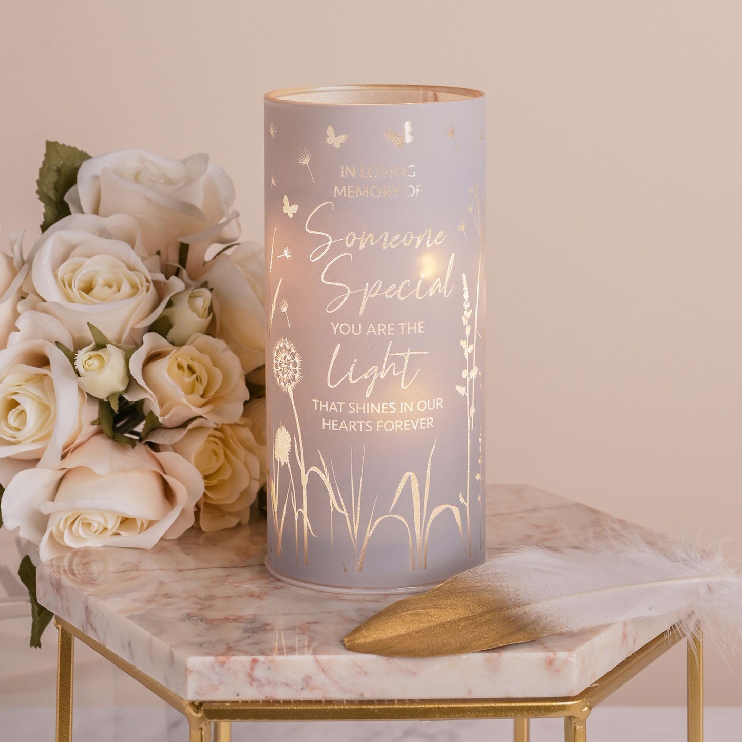 WDP Toy Someone Special Tube Light