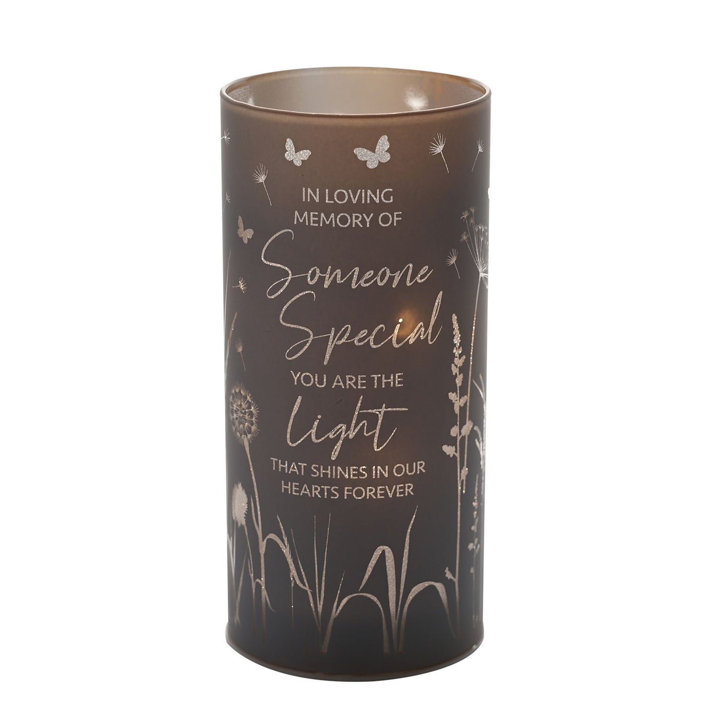 WDP Toy Someone Special Tube Light