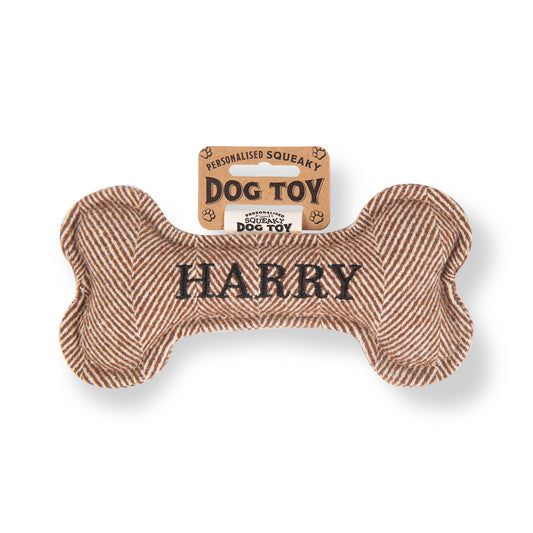 Squeaky Bone Dog Toy - Harry