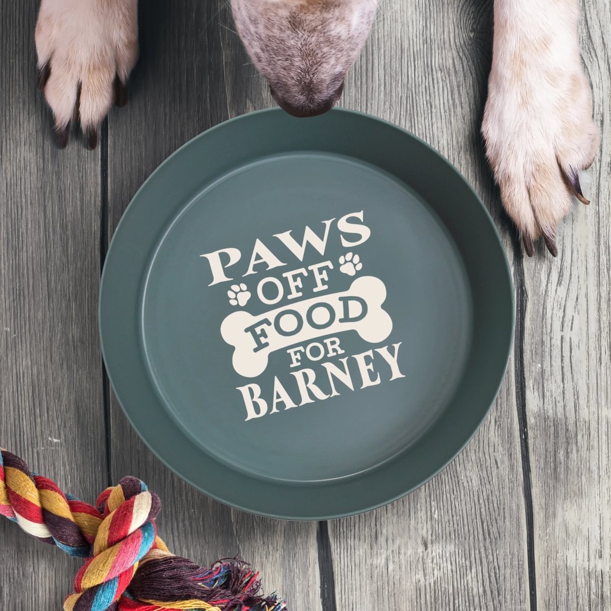 HH Dog Bowl - Barney