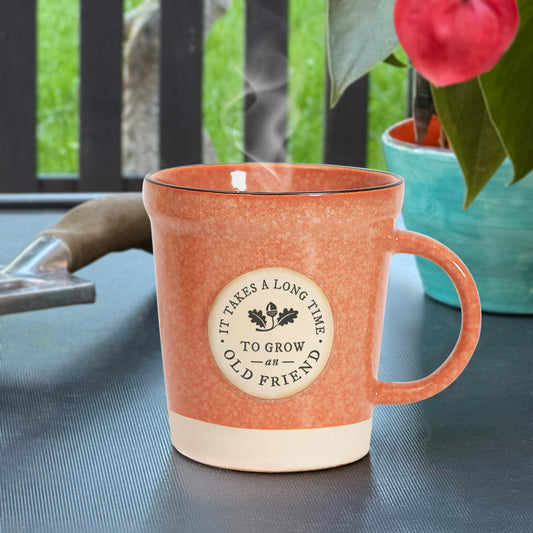 HH Plant Pot Mug Friend