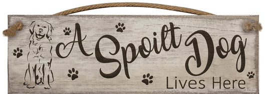 SG A spoilt dog lives here
