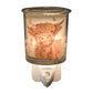 AR Plug In Melter Colour Highland Cow