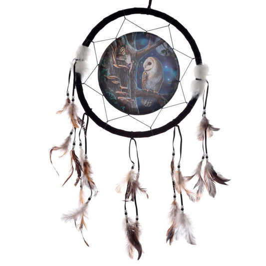 PK LP Dreamcatcher Large Owl Fairy