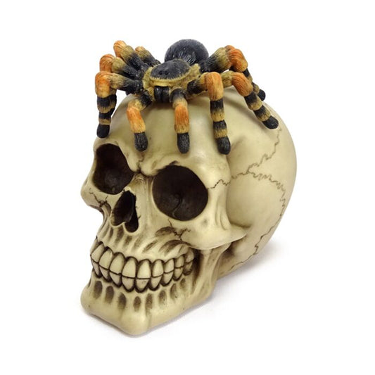 PK Skull with Spider