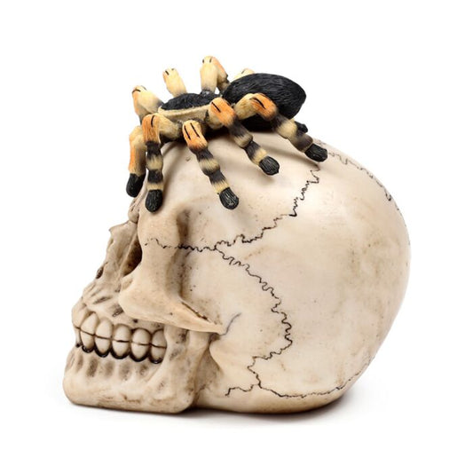 PK Skull with Spider