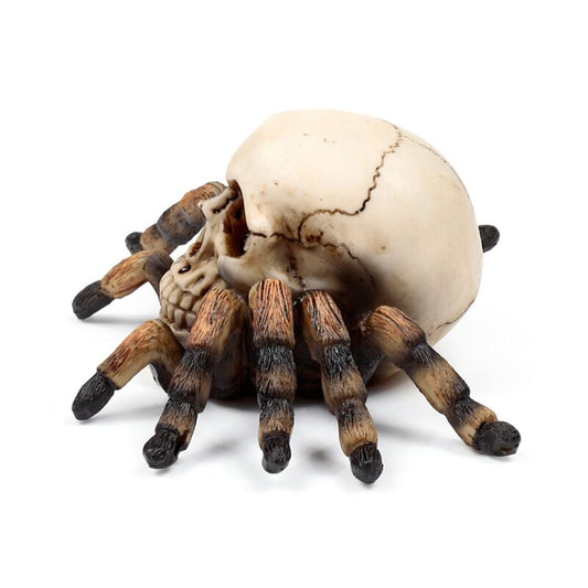 PK Skull with Spider Legs
