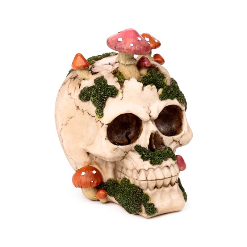 PK Skull with Toadstools & Moss