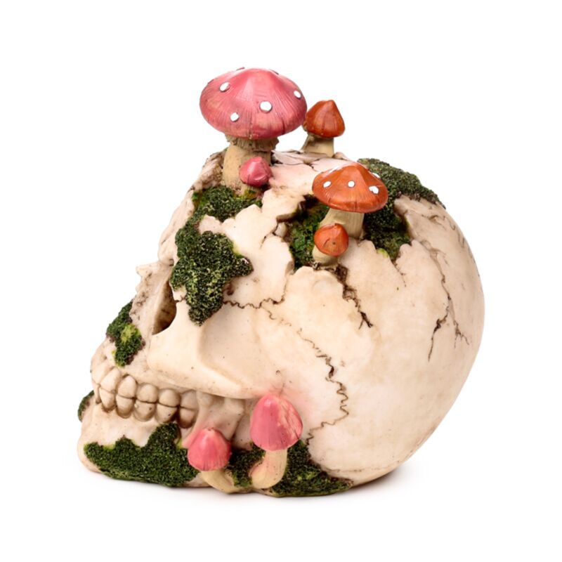 PK Skull with Toadstools & Moss