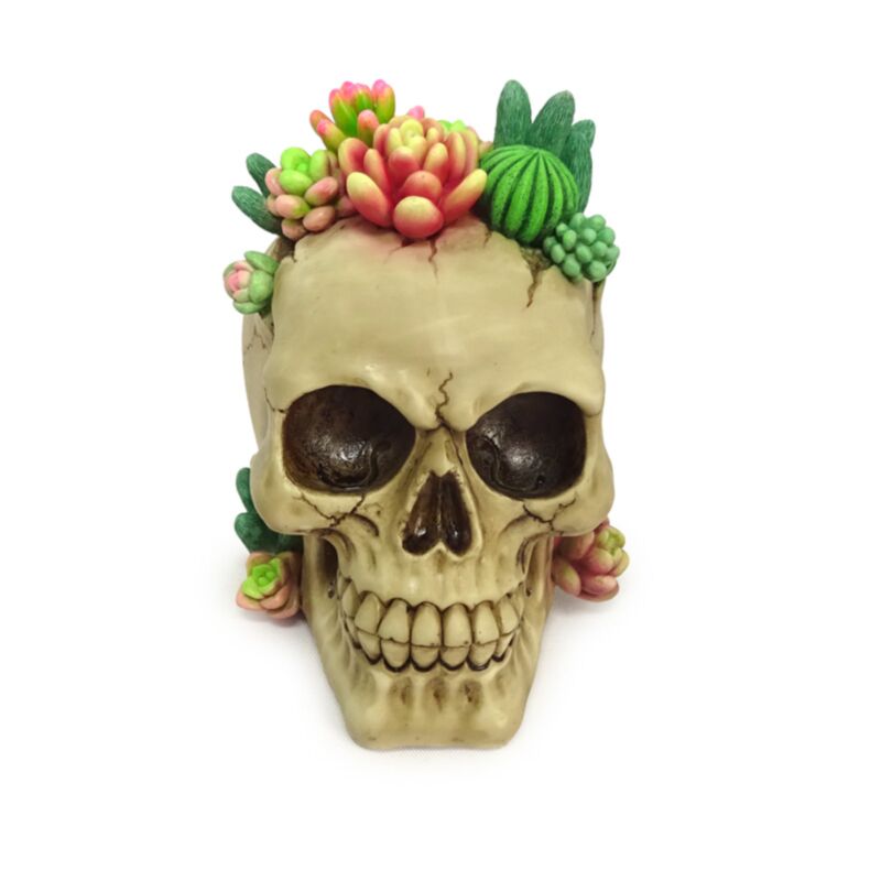 PK Skull with Succulent Plants Ornament