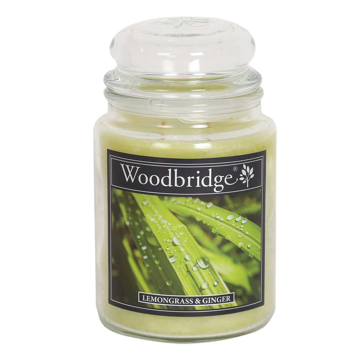 AR Woodbridge Jar Lemongrass & Ginger (565g)