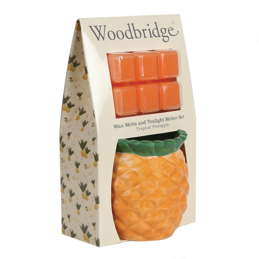 AR Melts & Melter Tropical Pineapple
