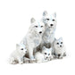 PK Wolf Puppies Family~