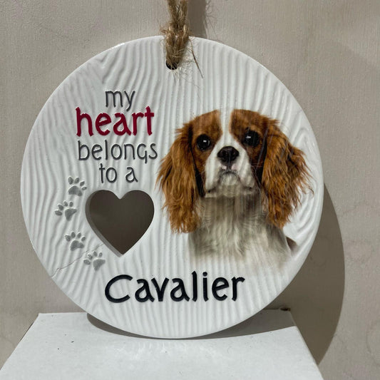 Piece of my Heart - Cavalier King Charles
