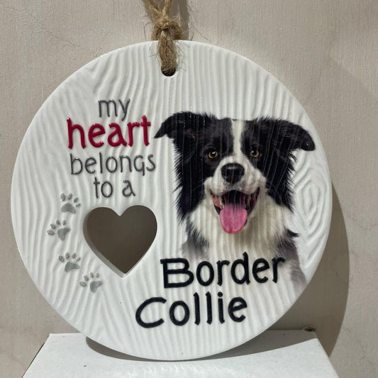 Piece of my Heart - Border Collie