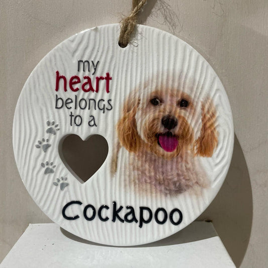 Piece of my Heart - Cockapoo