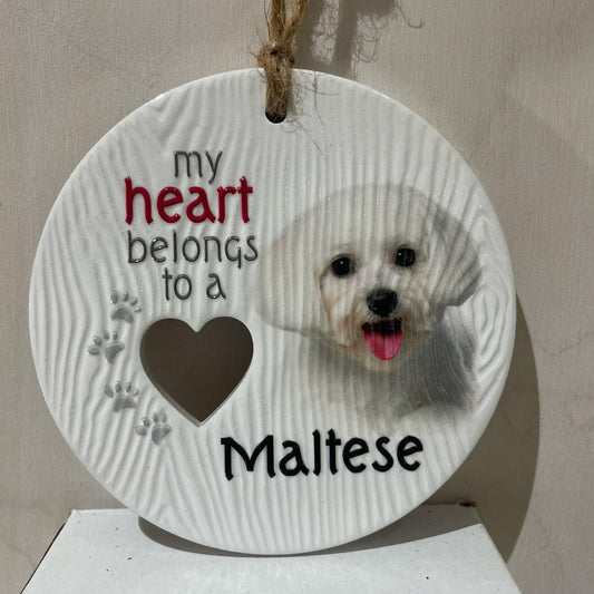 Piece of my Heart - Maltese