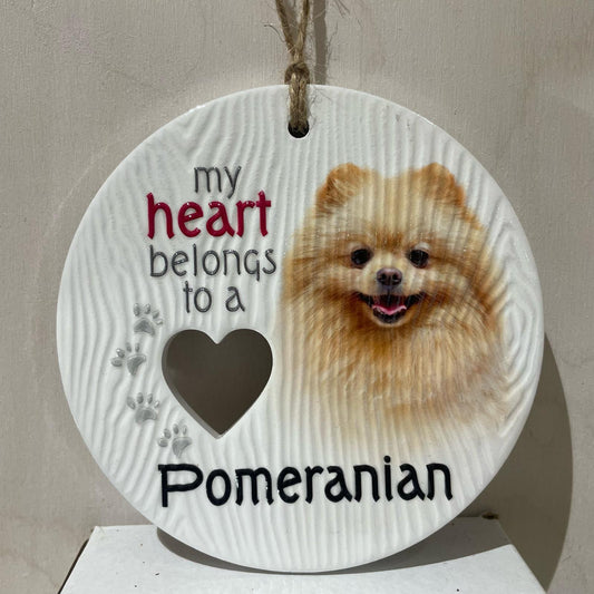 Piece of my Heart - Pomeranian
