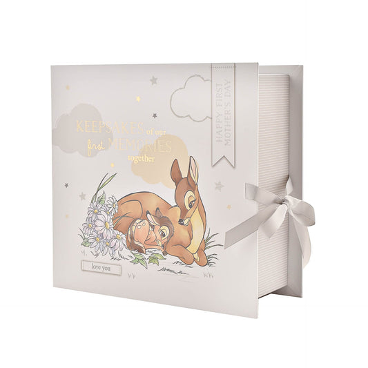 WDP Disney Keepsake Box