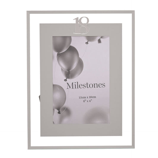 WDP Mirror Border Frame 4' x 6' - 18