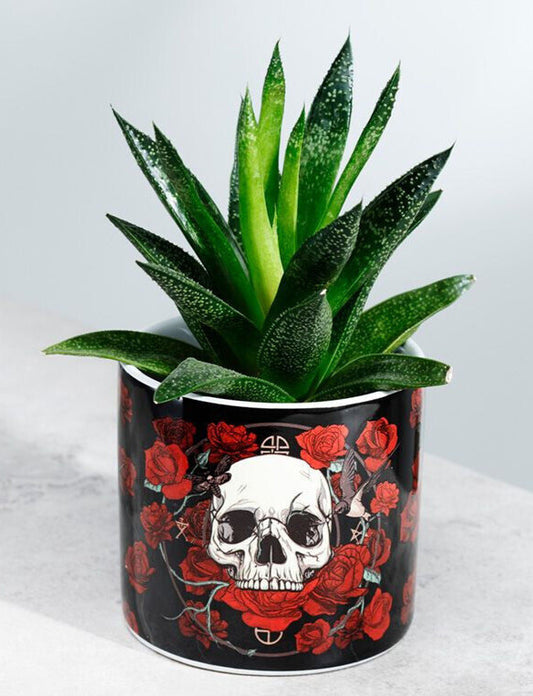 PK Skulls & Roses Plant Pot / Planter - Small