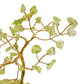 WDP Gemstone Tree - Peridot