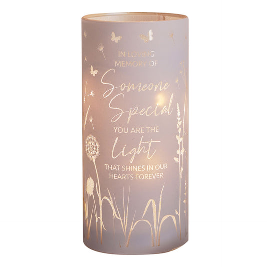 WDP Toy Someone Special Tube Light