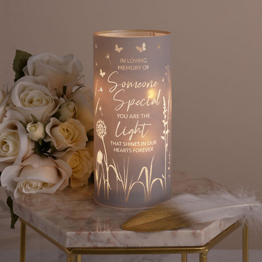 WDP Toy Someone Special Tube Light