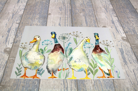 Ducks Print A3