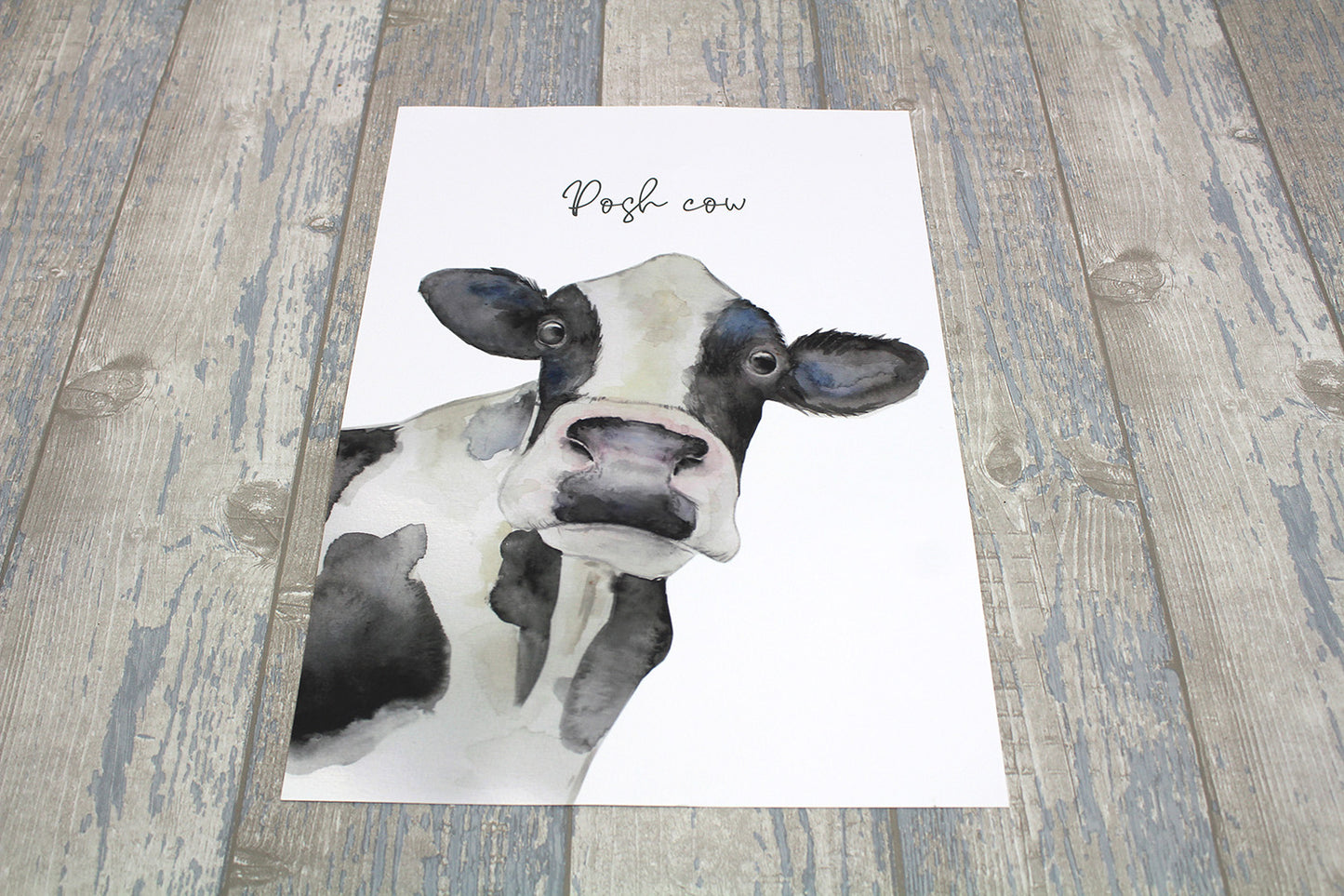 Posh Cow Print A3